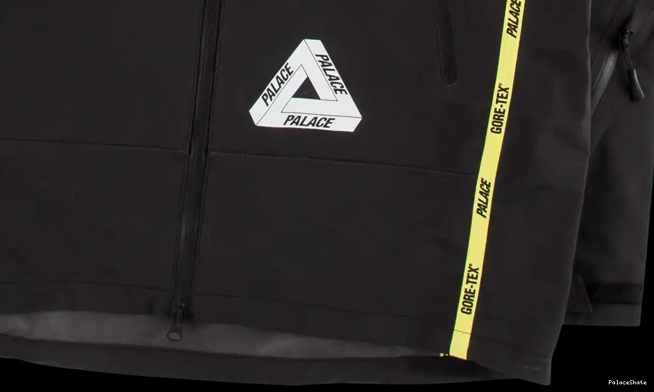 Palace Gore-Tex Palex Jacket 0604